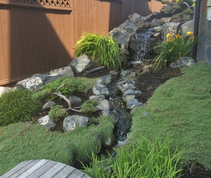 Is it time to turf grassy front lawns in the Okanagan?